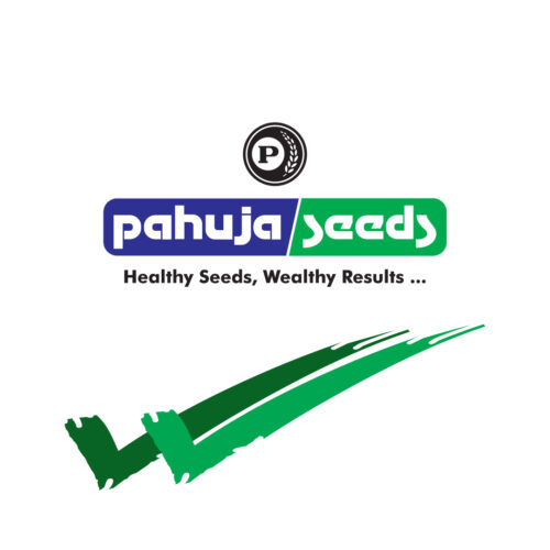 about-logo about-logo