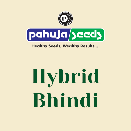 Hybrid-Bhindi