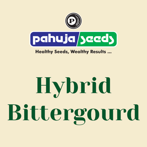 Hybrid-Bittergourd