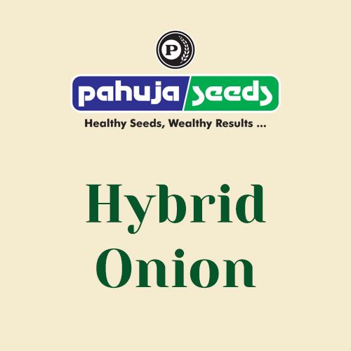 Hybrid-Onion