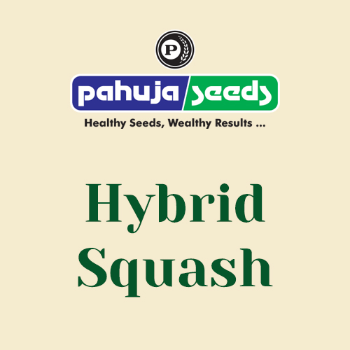 Hybrid-Squash