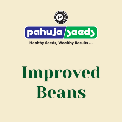 Improved-Beans