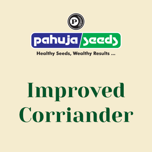 Improved-Corriander