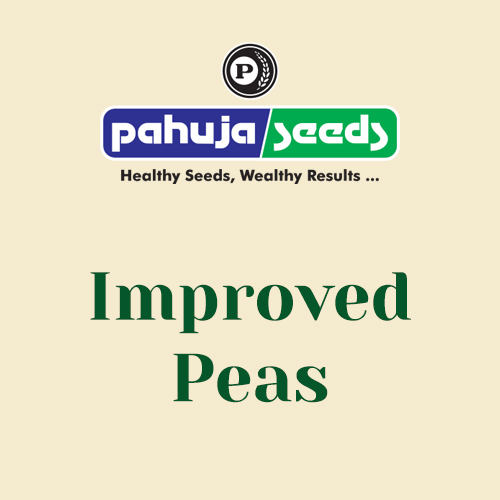 Improved-Peas