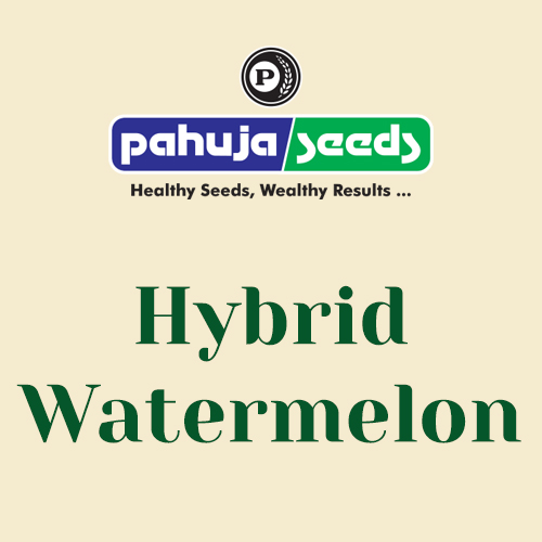 watermelon
